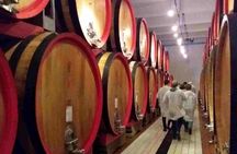 Wine Tasting, Dinner and Cooking Class Under the Sunset