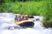 Ubud White Water Rafting with Private Transfer & Lunch