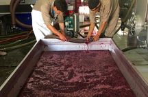 Exclusive day-long private tour of Cafayate vineyards
