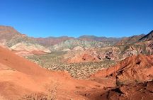 Exclusive day-long private tour of Cafayate vineyards