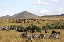 4 Days Amboseli Naivasha 