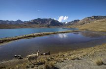 CONDORIRI Mountain Range and Lagoons Full day Trekking. Spanish guide.