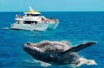 Round tour in Sri Lanka 11daysby Aaliya Tours-Hotels with H/B