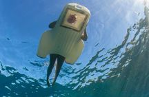 Four Winds Molokini Snorkeling Tour from Maalaea Harbor 