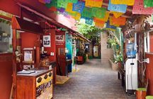 Cozumel Shore Excursion: 5-Hour Sightseeing Tour with Private Driver