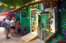 Cozumel Shore Excursion: 5-Hour Sightseeing Tour with Private Driver