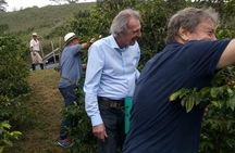Private Coffee Tour in Colombia