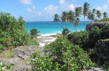 Scenic Barbados Coast To Coast Half-Day Tour