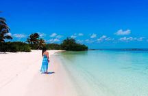 Island Contoy Adventour & Buffete & Isla Mujeres only from Cancun