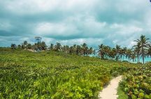 Island Contoy Adventour & Buffete & Isla Mujeres only from Cancun