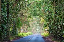 Kauai Highlights Small Group Tour -A journey to the Canyon & more