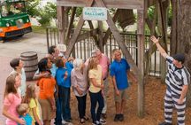 St Augustine Attractions Pass with Trolley