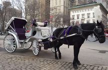 NYC Central Park Horse and Carriage Ride: Long Ride 45 min