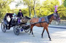 NYC Central Park Horse and Carriage Ride: Long Ride 45 min