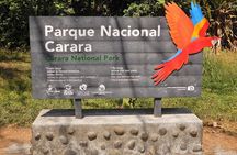 Carara National Park Birdwatching Private Guided Tour Experience. 