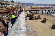 Santiago to Valparaiso & Casablanca: Port Drop-off