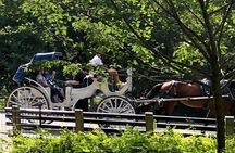 NYC Central Park Horse and Carriage Ride: Long Ride 45 min
