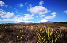 Tongariro Discovery Walk