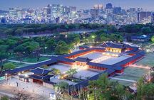 Seoul Night Tour (Gwangjang Market, Royal Palace and Naksan Park)