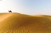 Full Day Sightseeing Tour of Jaisalmer