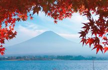 Private Car Tour to Mt. Fuji Lake Kawaguchiko or Hakone