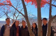 Private Car Tour to Mt. Fuji and Kawaguchiko or Hakone