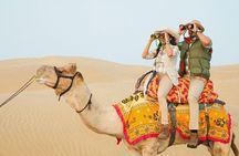 7 - Days Private Romantic Rajasthan Tour with Udaipur - Jodhpur - Jaisalmer