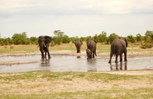 3 Day Okavango Delta