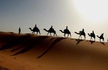 Luxury 3 days / 2 nights desert tour Marrakech to Fes