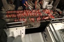 Half-Day Fishing Trip in Fort Lauderdale