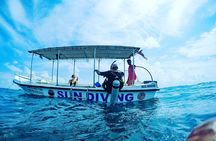 Two boat Dives in Two different dive sites Only Certified Divers 