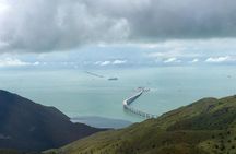 Live Lantau (Giant Buddha): Private Tour