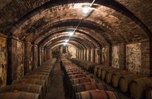 Exclusive Pisa and Wine Tour