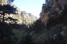 Hike Agia Irini Gorge Private Tour (price per group of 6)