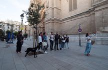 Private walking tour in Palma de Mallorca with local guides.