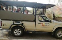 Budget 3 Day Kruger Safari from Johannesburg