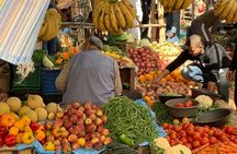 Luxury private day trip - Atlas Mountains, Agafay Desert & camels