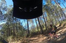 Mountain Biking Tour at La Primavera Forest