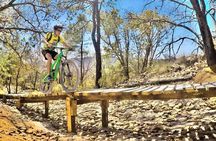 Mountain Biking Tour at La Primavera Forest