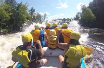Family Rafting Day Trip