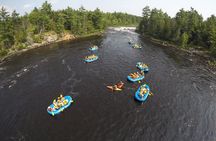 Family Rafting Day Trip