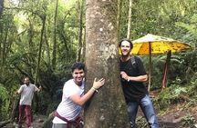 Colombia’s Tallest Waterfalls: La Chorrera Hike