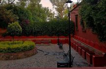 Original Downtown Food Tour with Taste of San Miguel 