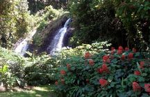 private Tahiti island discovery