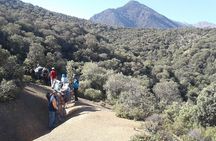4-Day Atlas Mountains Family Trek