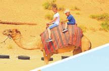 Dubai Desert 4x4 Dune Bashing, Sandboarding, Camel Riding, Dinner