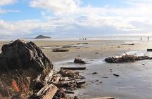 Vancouver to Tofino 2 Day Tour Private