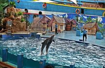 Private Tour To Safari Park & Waterfall (From Surabaya/Malang)