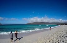Wineglass Bay Beach Hike Active day tour