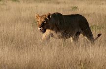 10-Day Namibia Highlights Guided Tour from Windhoek